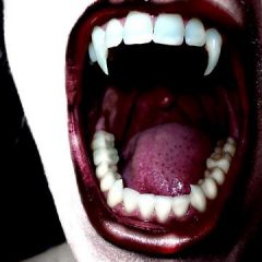 Imagem da notícia: “Dentes de vampiro” com poss&iacute;vel origem gen&eacute;tica