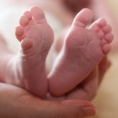 Imagem da notícia: C&aacute;lcio nos rec&eacute;m-nascidos com impacto na sa&uacute;de &oacute;ssea e obesidade