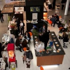 Imagem da notícia: Douromed com novidades para 2012