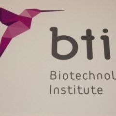 Imagem da notícia: BTI com nova imagem