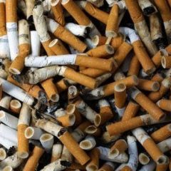 Imagem da notícia: Tabaco: 2&ordf; maior causa de morte