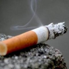 Imagem da notícia: Taxa de mortalidade por cancro dever&aacute; baixar 17 por cento em 2030