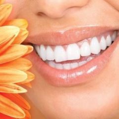 Imagem da notícia: Medicina Dent&aacute;ria Biol&oacute;gica: porqu&ecirc;?