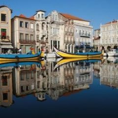 Imagem da notícia: Aveiro recebe IV Jornadas Nacionais de Ci&ecirc;ncias Biom&eacute;dicas
