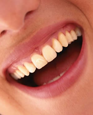 Imagem da notícia: Cientistas britânicos criam dente a partir de células da gengiva