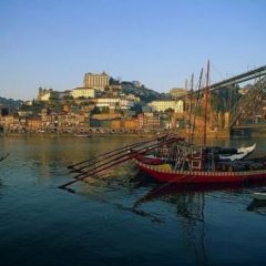 Imagem da notícia: Cirurgia ortogn&aacute;tica discutida no Porto