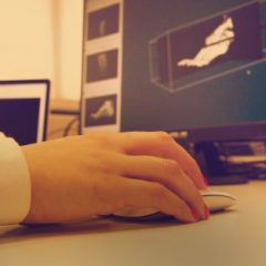 Imagem da notícia: Jovens portugueses desenvolvem ‘software’ m&eacute;dico gratuito