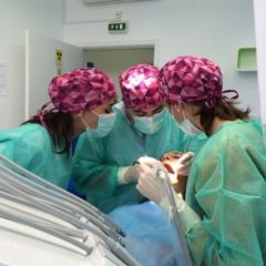Imagem da notícia: “Saliento a qualidade e disponibilidade do corpo docente”