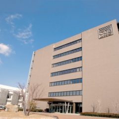 Imagem da notícia: Japoneses investigam nova t&eacute;cnica de regenera&ccedil;&atilde;o