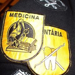 Imagem da notícia: UC distingue os alunos do 1&ordm; curso de Medicina Dent&aacute;ria