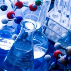 Imagem da notícia: Governo aumenta contacto entre universidades e centros hospitalares