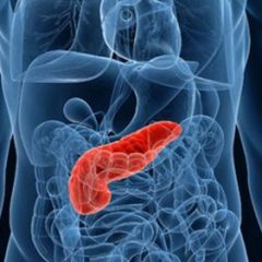 Imagem da notícia: Fraca higiene oral pode aumentar risco de cancro no p&acirc;ncreas