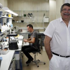 Imagem da notícia: “Tenho na minha equipa dos melhores profissionais de cada especialidade”