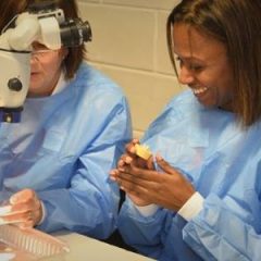 Imagem da notícia: Cursos hands-on no Congresso OMD