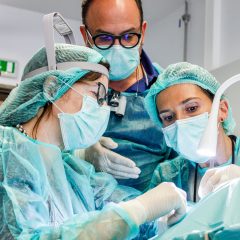 Imagem da notícia: MegaGen Portugal e Iron promovem Master Cadaver Lab