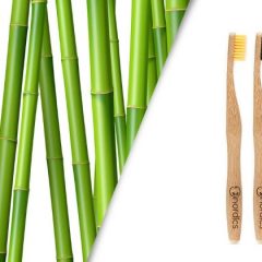 Imagem da notícia: Já conhece as escovas de dentes em bambu?