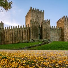 Imagem da notícia: Guimarães: UMinho organiza workshop dentário