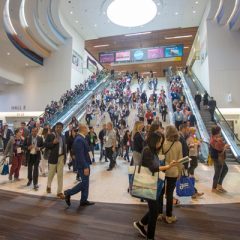 Imagem da notícia: Portugal representado no ADA FDI World Congress