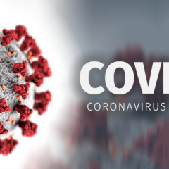 Imagem da notícia: Infeção pelo novo Coronavírus – em atualização