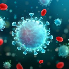 Imagem da notícia: TecniCov: testes rápidos para monitorizar anticorpos para Covid-19 em soro e saliva