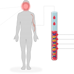 Imagem da notícia: Estudo da FMUC sobre cancro oral distinguido pela SPGH