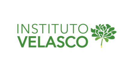 Imagem da notícia: Instituto Velasco realiza formações sobre harmonização facial e uso de toxina botulínica