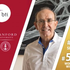 Imagem da notícia: Ranking de Stanford consolida Eduardo Anitua, da BTI, como “dentista espanhol mais influente do mundo”