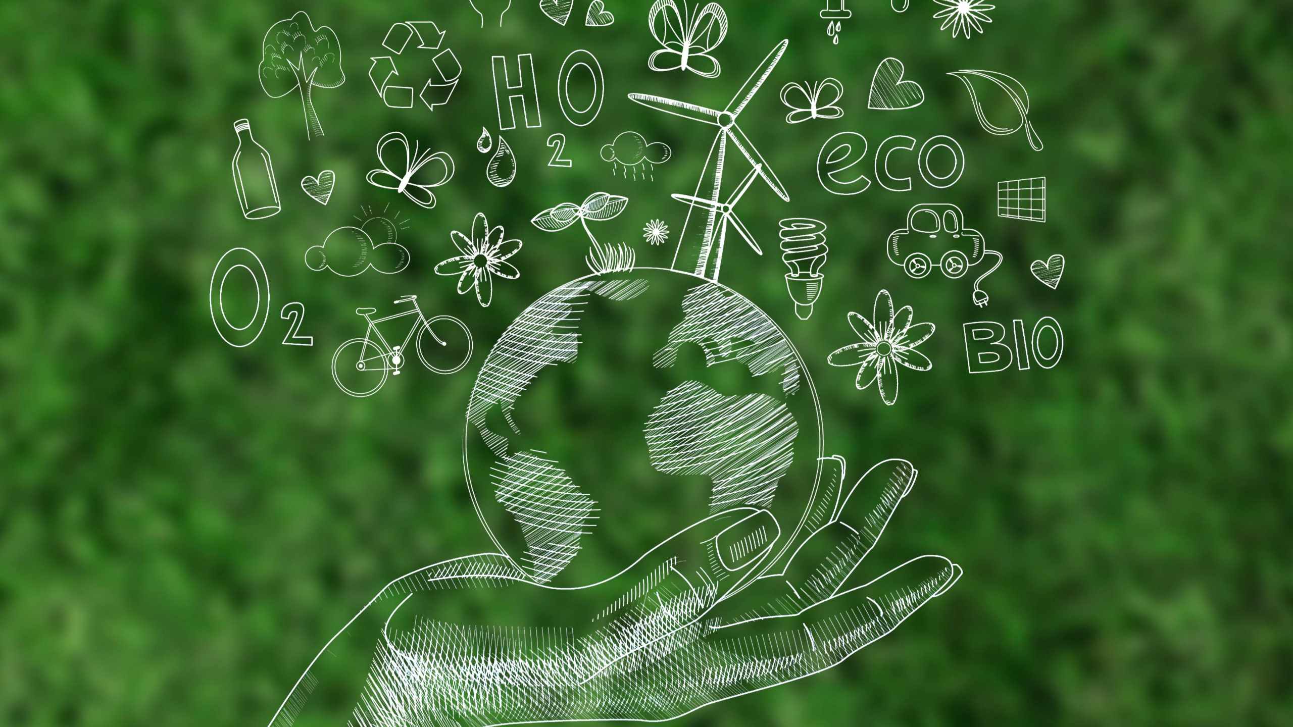 Imagem da notícia: FDI organiza fórum virtual sobre sustentabilidade