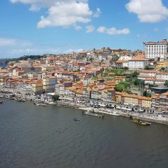 Imagem da notícia: XLIV Congresso da SPEMD será no Porto