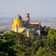 Imagem da notícia: Augma Biomaterials 2024 decorre em Portugal