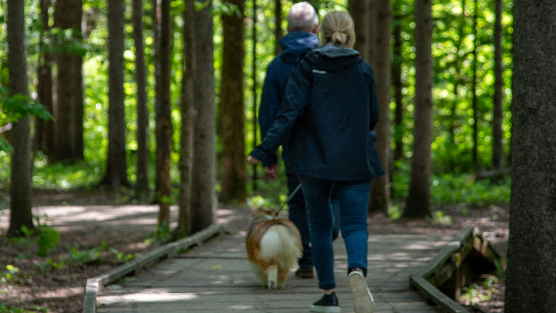 Imagem da notícia: Ordens da Saúde propõem iniciativas para envelhecimento saudável