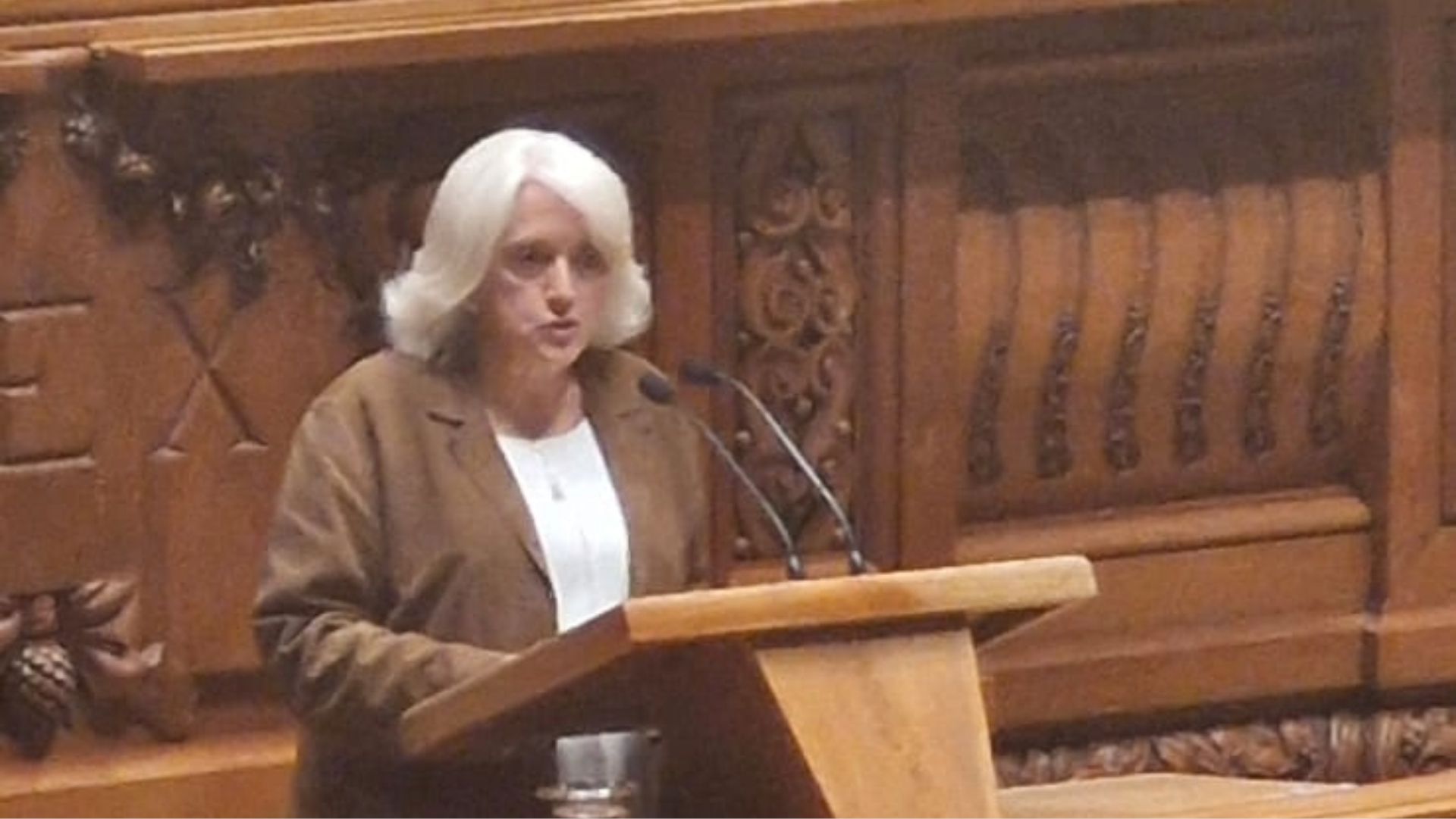 Imagem da notícia: Carreira no SNS: “Um passo histórico” rumo ao reforço da saúde oral