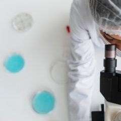 Imagem da notícia: Prémios SCML/Pfizer 2026 com candidaturas abertas
